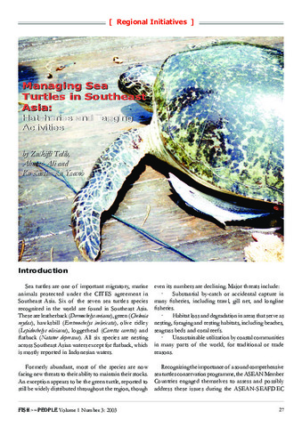 Managing sea turtles in Southeast Asia: Hatcheries and tagging activities